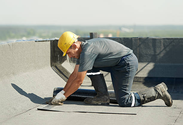 Best Blown-in Insulation  in Harrison, TN